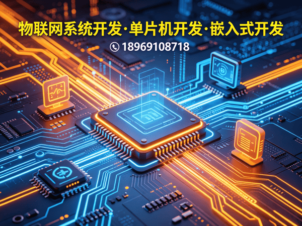 苏州嵌入式安全开发可穿戴健康监测设备解决方案