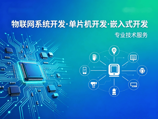 上海物联网终端开发解决方案 | STM32/ESP32单片机开发服务